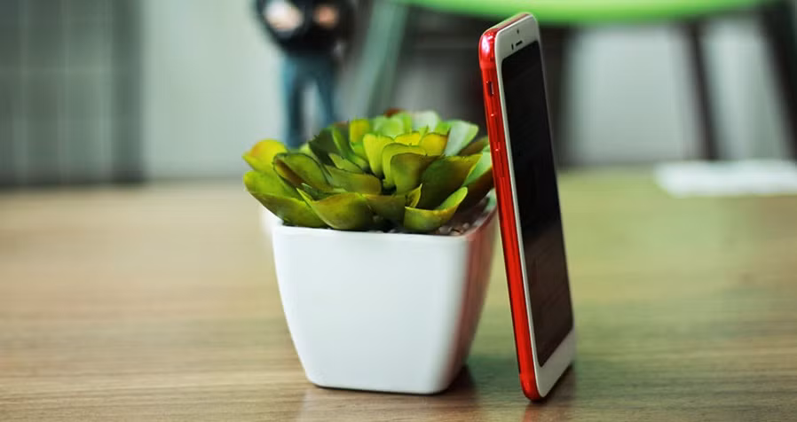 Mặc dù biết là hàng nhái nhưng nhiều khách hàng vẫn mua vì tò mò. Ảnh: Viettimes.