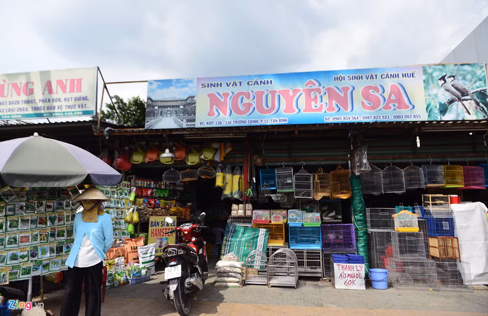 Các cửa hàng ở đây có diện tích từ vài chục cho đến hơn 100 m2, giá cho thuê trên dưới 10 triệu đồng/tháng tùy vào diện tích.