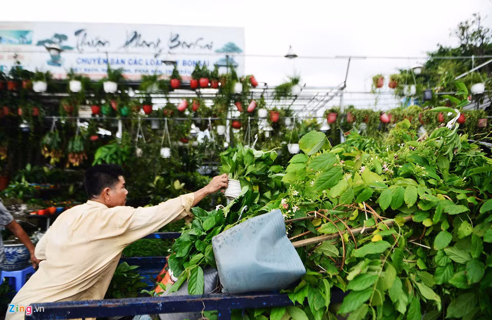 Một số hộ kinh doạnh sinh vật cảnh tại đây cho biết họ đã thuê mặt bằng hơn chục năm nay. Mặc dù đã nhiều lần nghe nói đến việc giải tỏa khu vực này làm dự án nhưng vẫn không thấy triển khai nên chưa chuẩn bị kiếm nơi khác để tiếp tục kinh doanh.