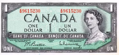 Đồng dollar Canada (CAD) có giá trị bằng 0,75 USD và có hai đặc điểm chính để nhận diện. Một là sự kết hợp của các sắc thái khác nhau trên các tờ tiền giấy. Hai là tên gọi truyền thống “loonie” của đồng 1 và 2 CAD. (Ảnh: canadacurrency).