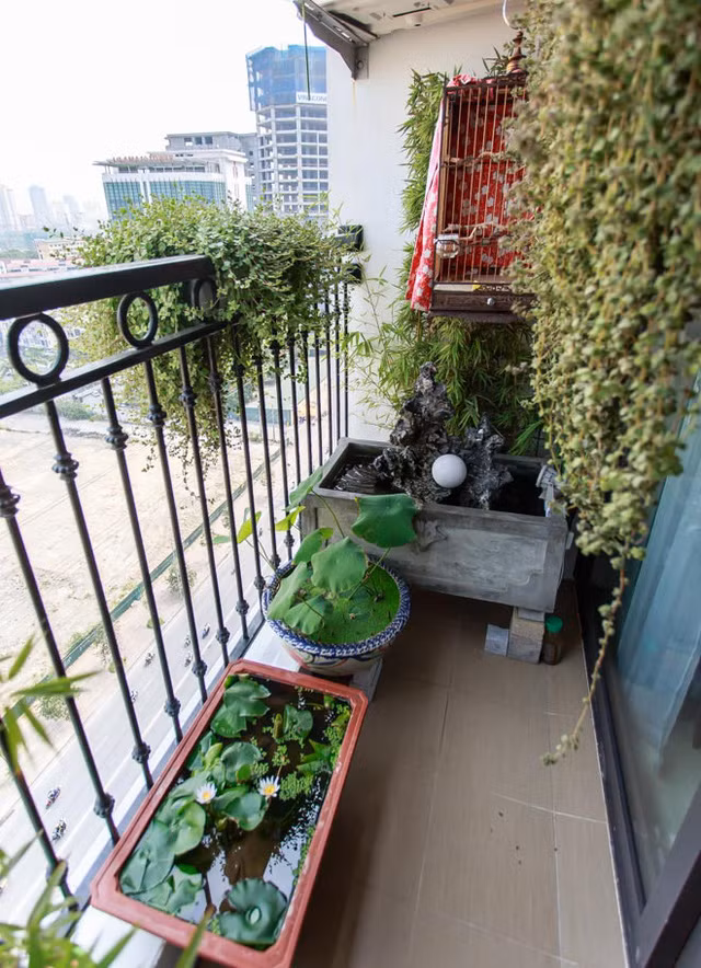 Diện tích khá nhỏ nhưng khu vườn của NSƯT Trung Anh vẫn luôn xanh mướt với đầy đủ: 2 chiếc lồng chim nhỏ, vài chậu trúc nhật, cây cảnh và hòn non bộ mini.