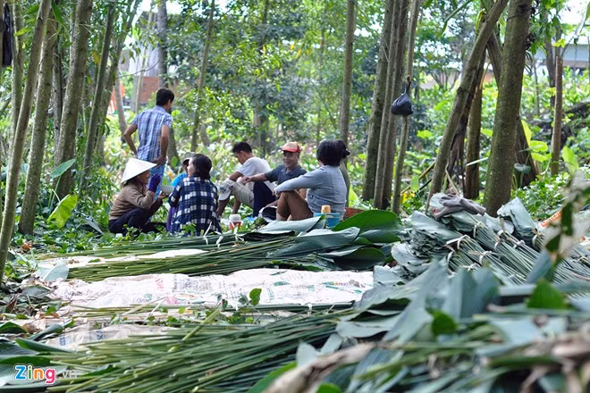Nhóm nông dân làm thuê tranh thủ nghỉ trưa tại điểm tập kết lá dong ven suối. Họ được gia chủ chu cấp tiền cơm trưa, nước uống nên ai cũng vui mừng.