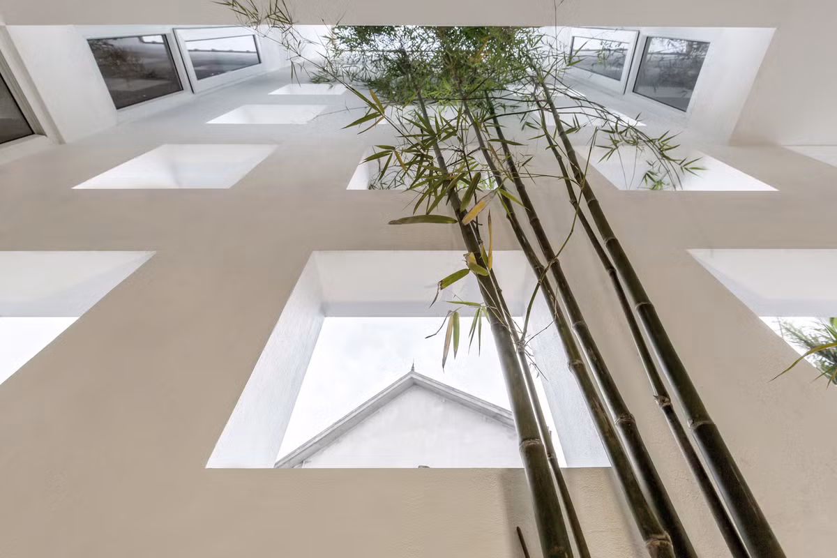 Công trình luôn tràn ngập ánh sáng tự nhiên và cây xanh. Nguồn ảnh: Archdaily.