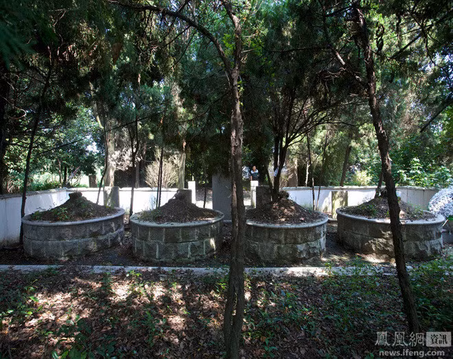 Khu vườn trúc phía sau.