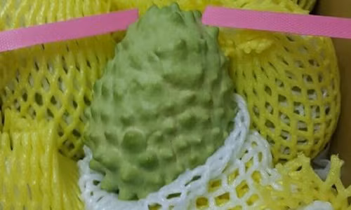 Na “khung” Dai Loan ngon co nao ma xep hang khong mua duoc?