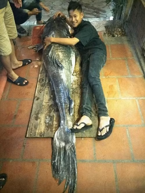 Xem nha hang Ha Noi mo "thuy quai" nang 112kg cho dan nhau-Hinh-3