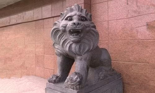 Vừa đi làm mắt, nâng... lỗ mũi về!