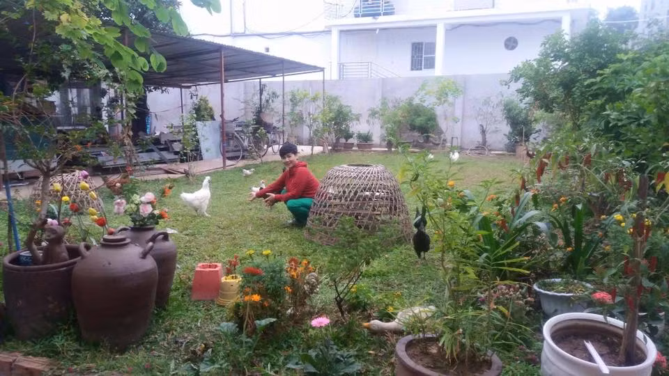 Nhà vườn hơn 5000m2 của NSƯT Minh Hằng vừa là chỗ nghỉ ngơi cuối tuần của vợ chồng cô, vừa là xưởng sản xuất khiến nhiều người phải trầm trồ.