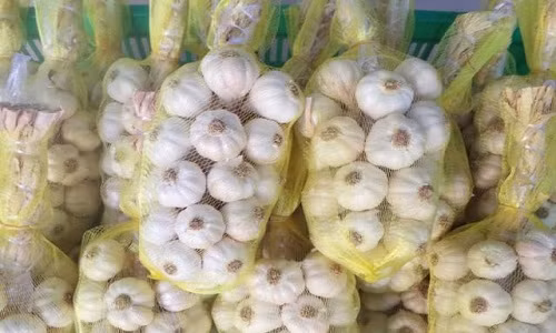 Toi tia ngon hao hang trong noi may mu gia sieu re-Hinh-4