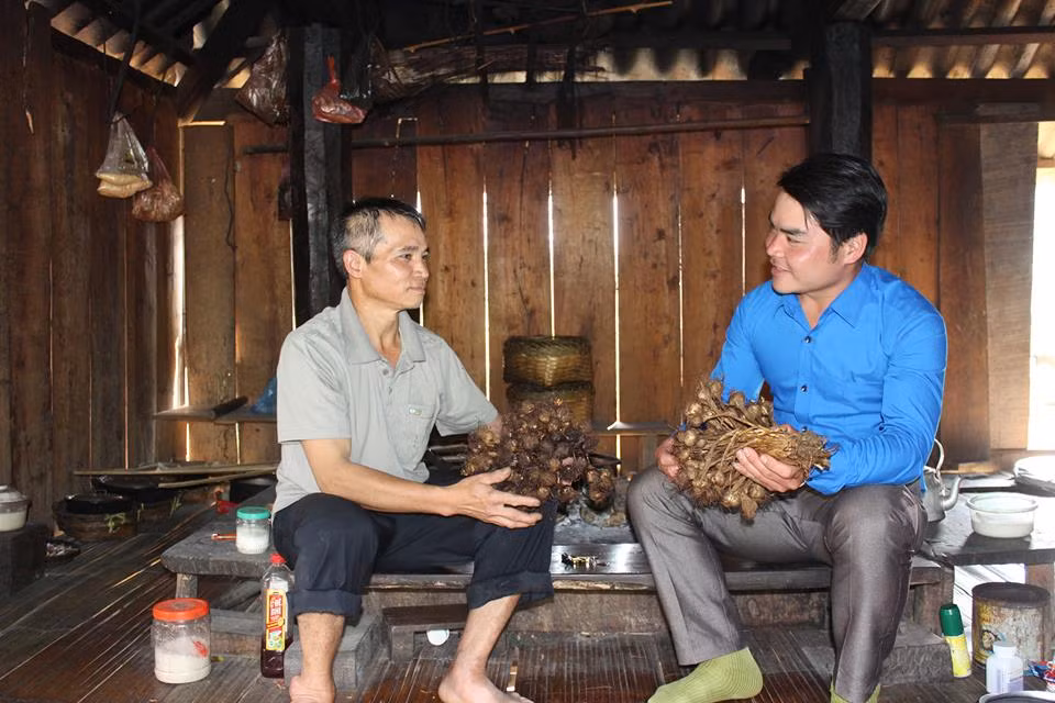 Toi tia ngon hao hang trong noi may mu gia sieu re