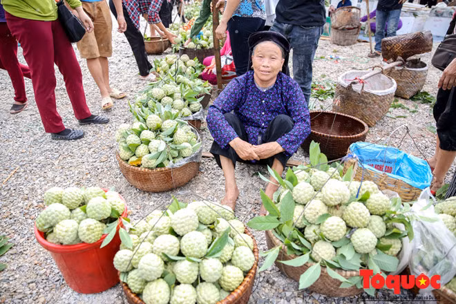 Loại na mắt gỗ đặc biệt quả to, đẹp làm quà biếu có giá từ 25.000đ - 35.000 đồng/kg được xếp ngay ngắn thành từng sọt riêng.