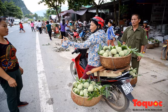 Là vựa na lớn nhất cả nước với sản lượng hơn 10.000 tấn mỗi năm phân bố chủ yếu tại 5 địa phương lòng máng sông Thương, gồm: xã Chi Lăng, thị trấn Chi Lăng, thị trấn Đồng Mỏ, xã Quang Lang và xã Mai Sao. Na Chi Lăng đã trở thành thương hiệu nổi tiếng trong nước và các quốc gia lân cận.