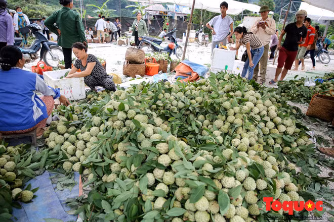 Na bi - một loại na bình dân có giá trung bình từ 10.000 đồng - 15.000 đồng/kg.