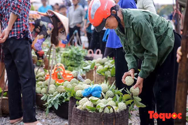 Không chỉ là món đặc sản địa phương, na Chi Lăng còn tạo được hiệu quả kinh tế đặc biệt giúp rất nhiều hộ dân ở đây thoát cảnh nghèo đói.