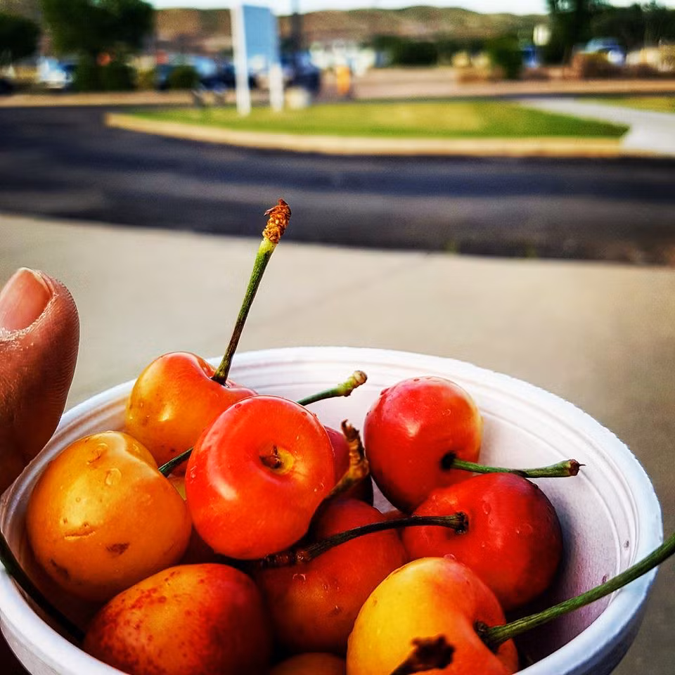 Không chỉ có hình thức đẹp mắt, cherry hoàng gia được ưa chuộng bởi ngọt hơn hẳn cherry thường. Ảnh: Facebook.