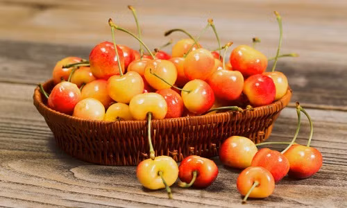 Giá bán tại vườn cherry khoảng 5 - 10 USD/0,45kg (khoảng 250.000 - 450.000 đồng/kg). Tuy nhiên, khi về Việt Nam giá thường đội lên do phí vận chuyển cao. Một phần nữa là do thị hiếu của người dân chuộng loại quả hoàng gia này. Ảnh: Stemilt.
