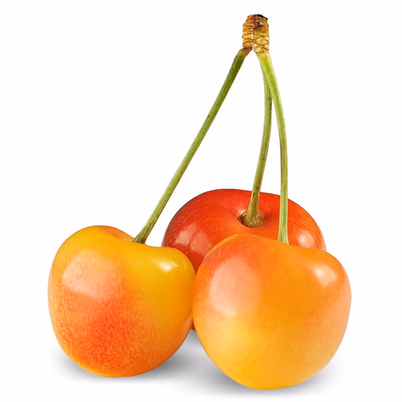 Nhiều người Việt lần đầu mua loại cherry này tưởng quả chưa chín nhưng sau khi ăn thử thì vô cùng thích thú. Ảnh: Realfoodtoronto.