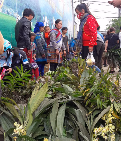 Bày hàng khá đơn giản, người xem có cảm giác bán lan theo mớ. Ảnh: Cao Cường.