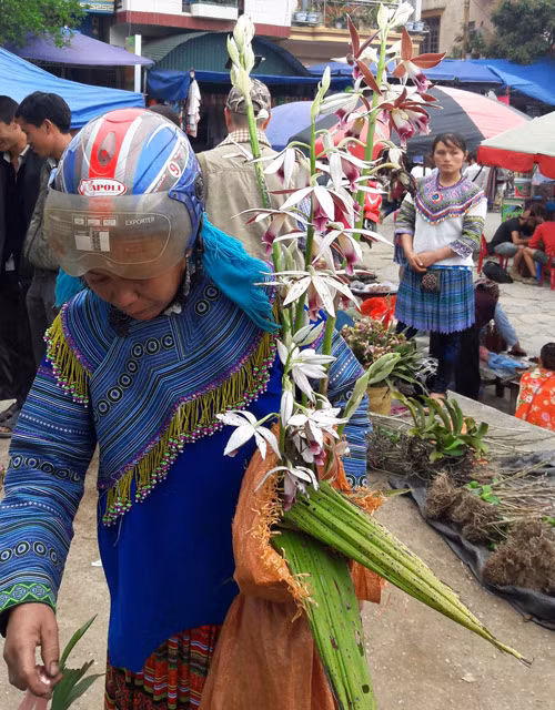 Người mua hàng không chỉ là du khách nơi xa mà còn là đồng bào các dân tộc thiểu số trên địa bàn Bắc Hà. Ảnh: Cao Cường.