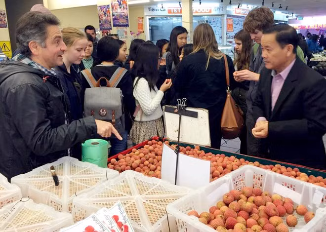 Khách hàng Australia rất thích thú với vải thiều Việt Nam. Ảnh: Zing.