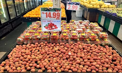 Trước đây, vải thiều cũng đã xuất hiện trên thị trường Australia. Năm 2015, tại siêu thị Thien Loan, Melbourne (Australia), vải thiều Việt Nam có giá bán 14,99 AUD (tương đương 250.500 đồng thời điểm đó). Ảnh: Zing.