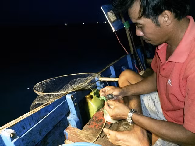 Anh Hiền cho hay: “Độ sâu của biển ở những nơi câu mực khoảng 13 sải tay nên phần dây câu gắn các thẻ màu cũng bằng với độ dài đó, cứ thả đến thẻ cuối cùng tức là miếng sắt đã chạm xuống đáy, cứ câu như vậy cho đến giờ vào bờ”.