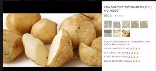 Soc: Khe ngot Viet Nam 50.000 dong/qua, cu dau dat 10 lan-Hinh-5