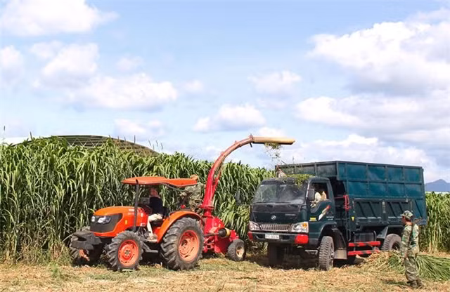 TTCS là một trong 8 công ty kinh doanh mảng mía đường của TTC Group. TTCS đã đóng góp 53% vào lợi nhuận trước thuế của tập đoàn trong năm 2015. TTCS cũng đang tìm đối tác nước ngoài để nâng tỷ lệ sở hữu của nhà đầu tư nước ngoài từ 11% như hiện tại lên 35%. Ảnh: Sanotc.