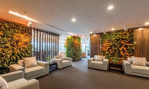 Hinh anh van phong lam viec Ha Noi xanh muot khong ai ngo