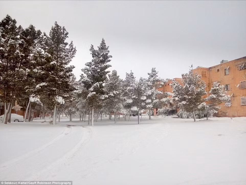 Mặc dù đang là một trong những nơi có nhiệt độ và cảnh quan khô cằn nhất hành tinh, nơi này được dự kiến xanh trở lại trong khoảng 15.000 năm nữa. Ảnh: Sekkouri Kamel/Geoff Robinson.