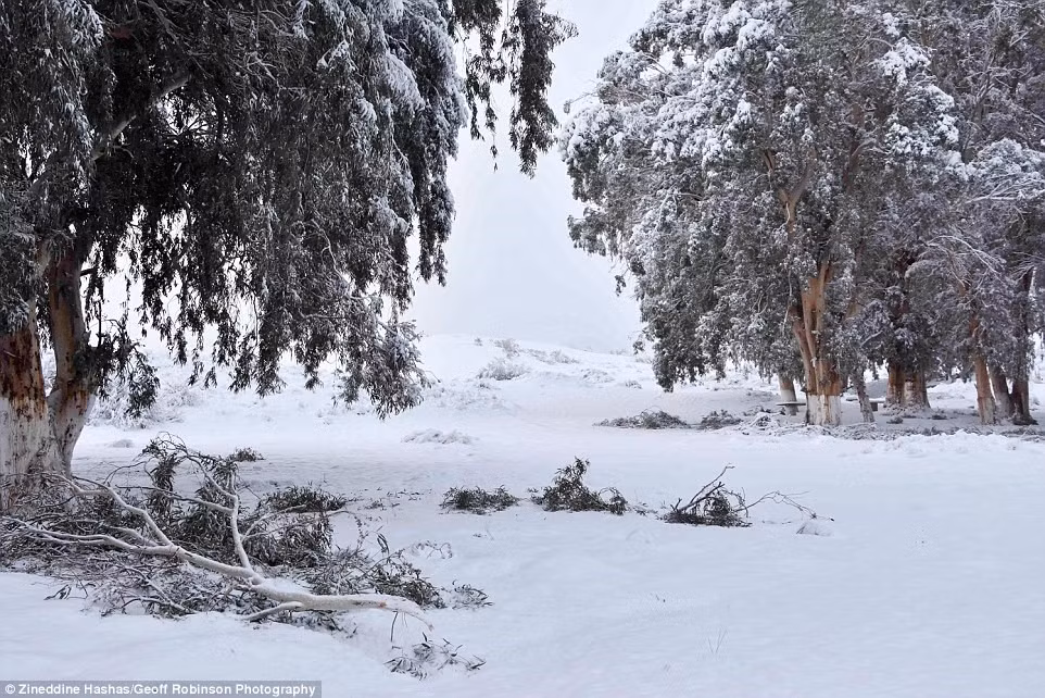 Sa mạc Sahara bao phủ một phần lớn diện tích Bắc Phi, đã trải qua những thay đổi về nhiệt độ và độ ẩm trong 100.000 năm qua. Ảnh: Zineddine Hashas/ Geoff Robinson.