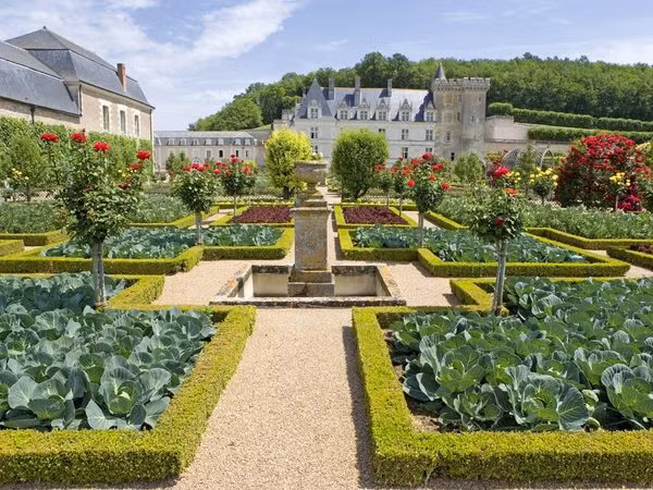 Vườn rau đẹp mắt hơn nhờ tường rào cỏ xung quang được cắt tỉa gọn gàng. Ảnh: Cholongkhanh.