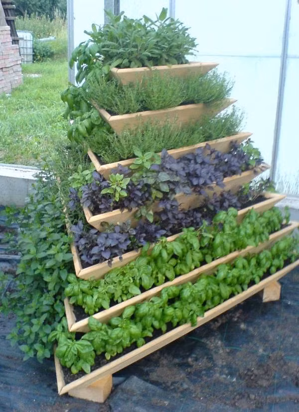 Vườn rau xếp tầng đơn giản mà hiệu quả. Ảnh: Omofon.