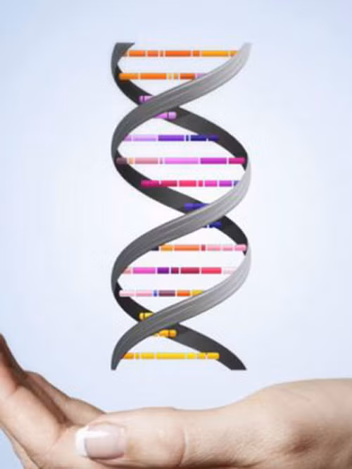 Co hay khong su ton tai cua "gen dong tinh"?