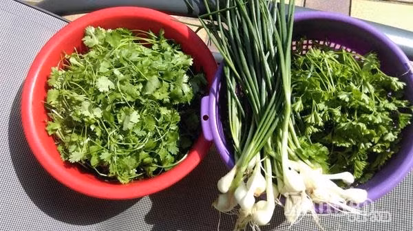 Thành quả thu hoạch sao bao ngày chăm bẵm mảnh vườn rộng thênh thang.