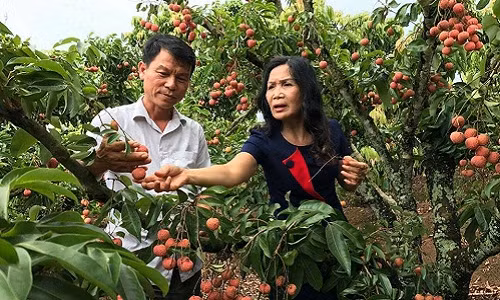 Ca huyen mat mua, “phu thuy” van bat vai ra qua luc liu