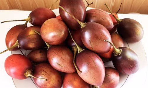 Trong thanh cong sieu qua 1 trieu dong/kg o Lam Dong-Hinh-3