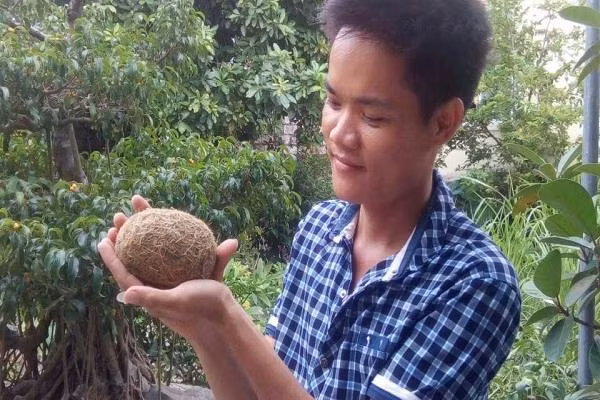 Ở Việt Nam, dư luận cũng xôn xao về những lần phát hiện cát lợn tiền tỷ. Đáng chú ý, ông Nguyễn Đình Đông (Quỳnh Lưu, Nghệ An) phát hiện vật thể lạ nghi cát lợn trong khi mổ lợn. Ảnh: Vietnamnet.