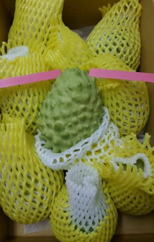 Nhung giong na "khung" tung gay sot thi truong Viet