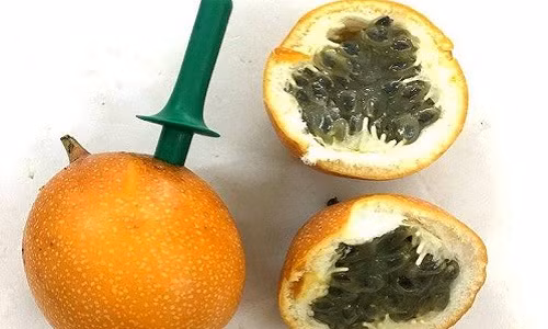 Su that chanh leo xach tay Colombia gia 120 ngan dong/qua