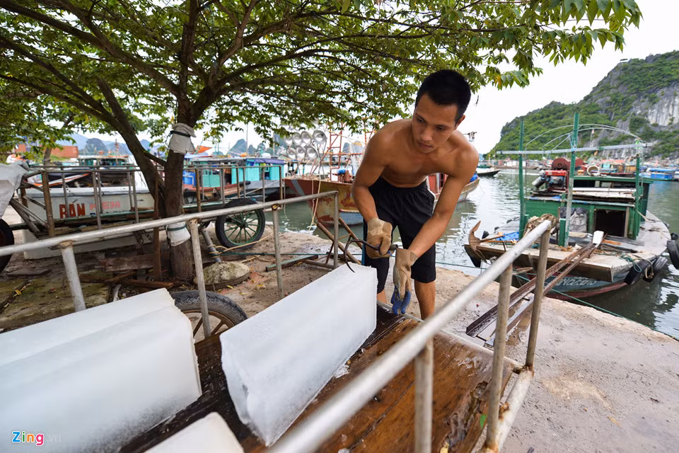 Việc kinh doanh hậu cần nghề cá trong khu vực cảng cũng diễn ra tấp nập và sôi động. Các nghề chính như cung cấp ngư cụ, đá công nghiệp, sửa chữa, bảo dưỡng máy móc thiết bị tàu thuyền đóng vai trò quan trọng trong phát triển kinh tế ở đây.