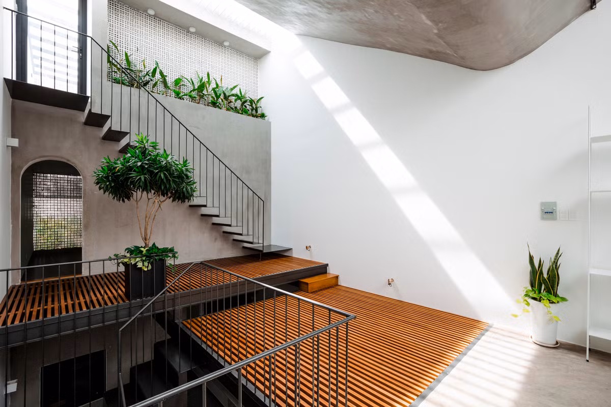 Cây xanh là một phần không thể thiếu trong ngôi nhà.