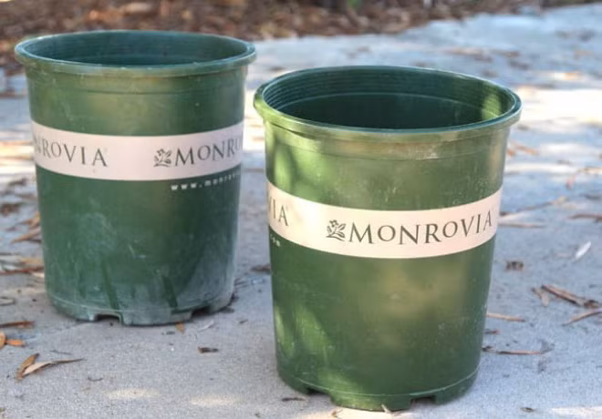 1. Chuẩn bị - 5 chậu nhựa lớn, đường kính khoảng 27 – 35cm; - Chai nhựa dung tích 1 lít nước;