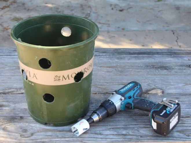 2. Cách trồng Bước 1: Khoan 12 lỗ lớn bên thành chậu, cách đều nhau với mũi khoan 3cm (như hình)