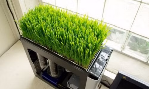 Vỏ máy tính là nơi lý tưởng để ươm mầm cây. Ảnh: Gamen.