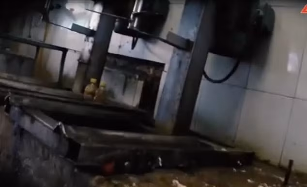 Khi được hỏi về giá, chủ cơ sở sản xuất cho biết, giò ngon nhất là 55.000 đồng/kg, giò làm hàng 50.000 đồng/kg và 40.000 đồng/kg nếu người mua đặt trước. Ảnh: ANTV.