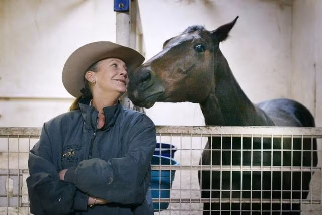 Từng ly hôn 2 lần và không có con, tỷ phú Alice Walton yêu thích đua ngựa và nuôi nhiều ngựa tại trang trại Rocking W Ranch. Trang trại rộng gần 18.000m2 của bà ở Texas từng được rao bán với mức giá gần 20 triệu USD. Ảnh: Fort Worth Star-Telegram.