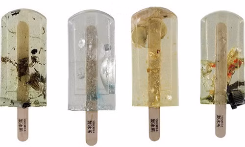 "Het hon" voi kem cuc di lam tu nuoc thai duc ngau