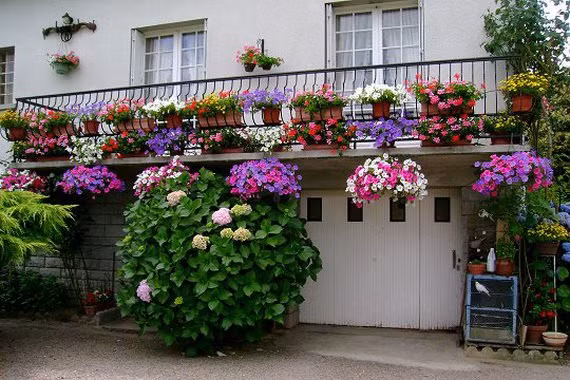 Không gian ngập tràn sắc hoa trên ban công giúp tâm trạng các thành viên trong gia đình luôn vui vẻ.