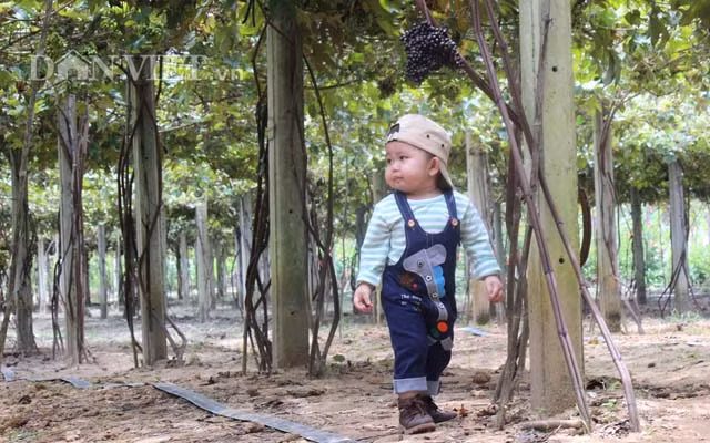 Rất nhiều bạn trẻ đến đây với mong muốn chọn cho mình một bức hình đẹp để kỷ niệm.